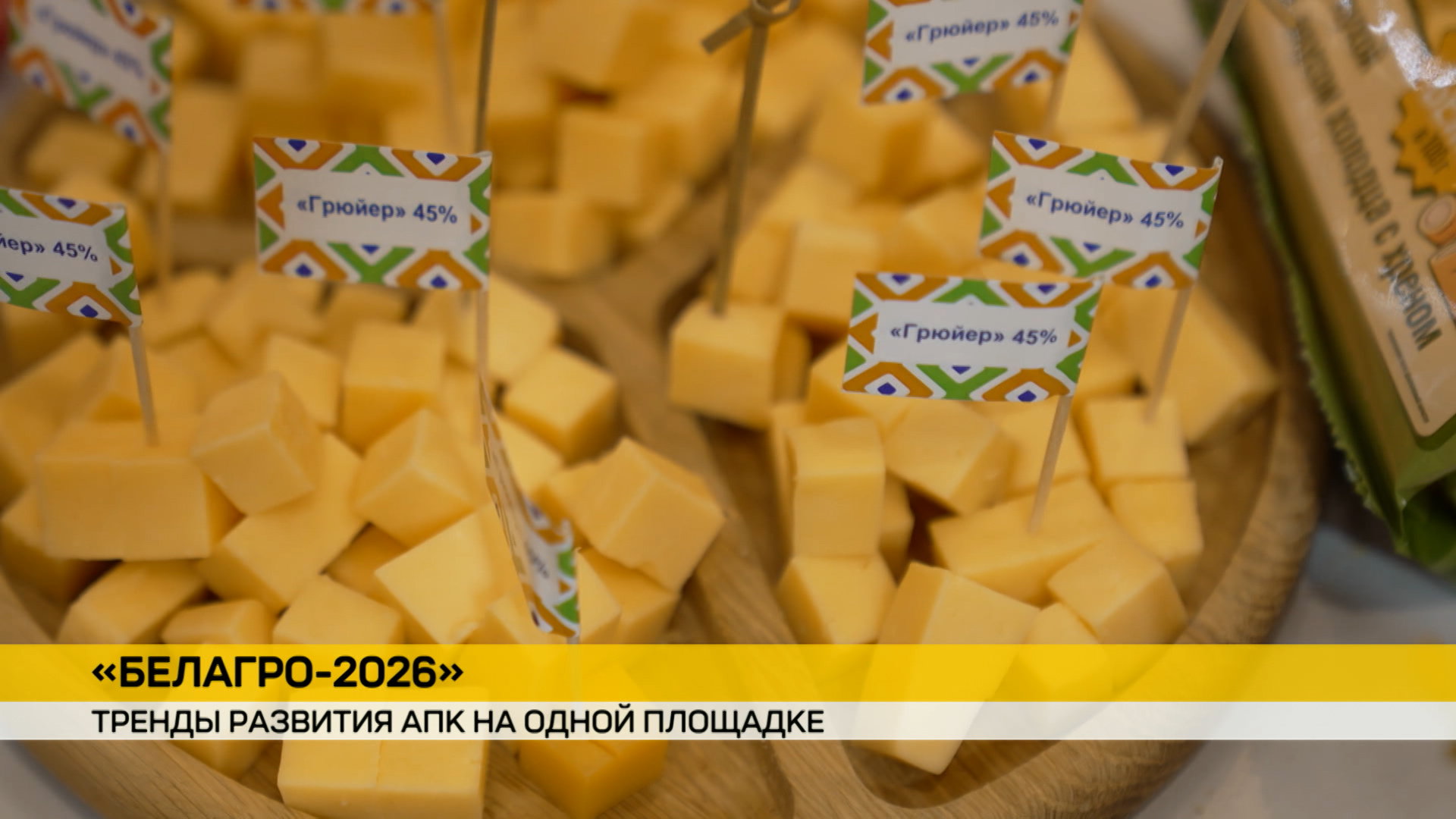 Агропромышленная выставка «Белагро»: какие достижения в промышленности и сельском хозяйстве можно увидеть